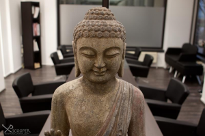 481340_10151488514632241_1033175274_n